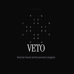 Veto kernel-level enforcement engine