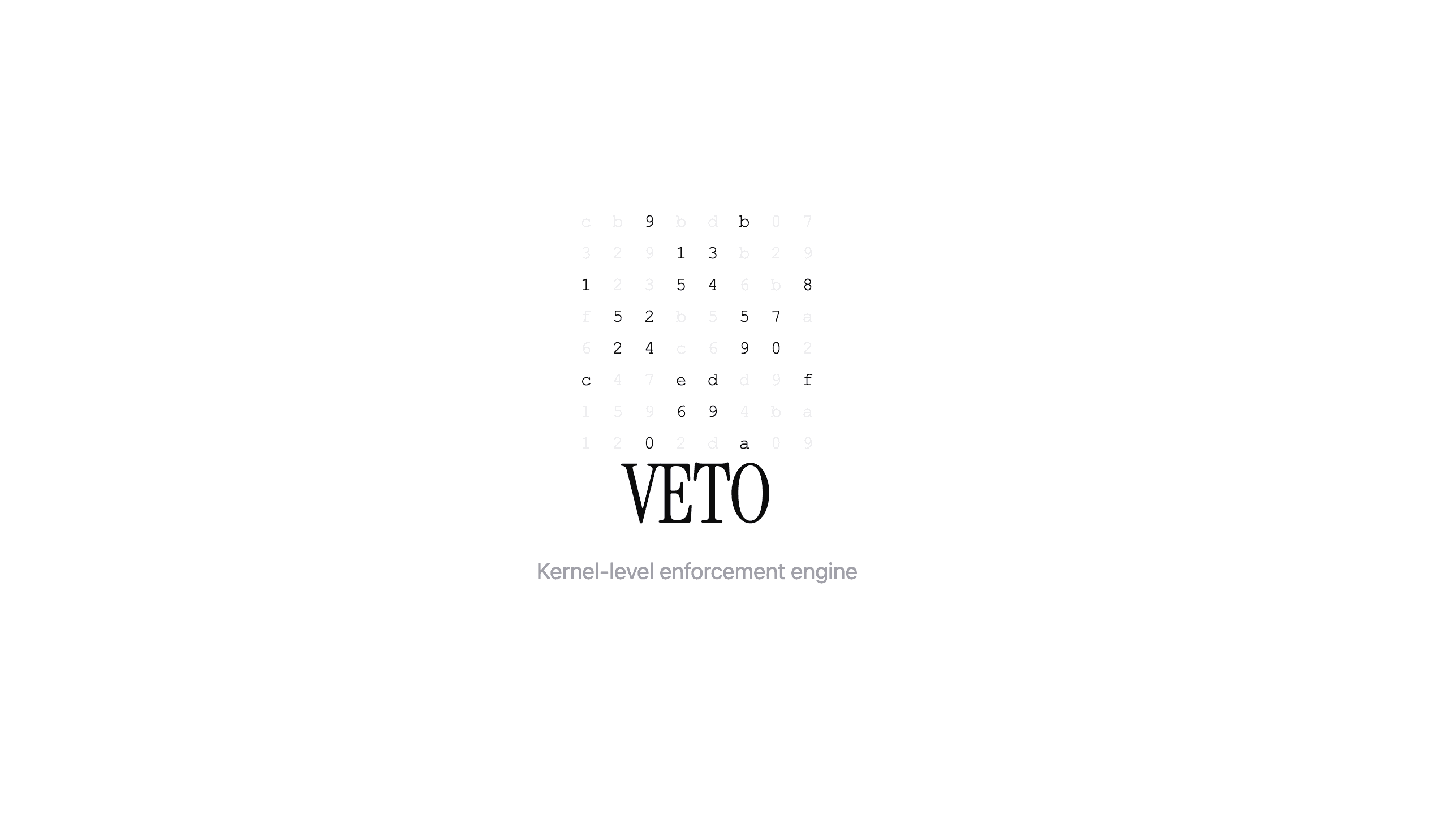 Introducing Veto: security for the next era of software